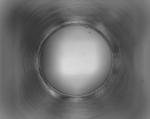 X0000070381282200606091116