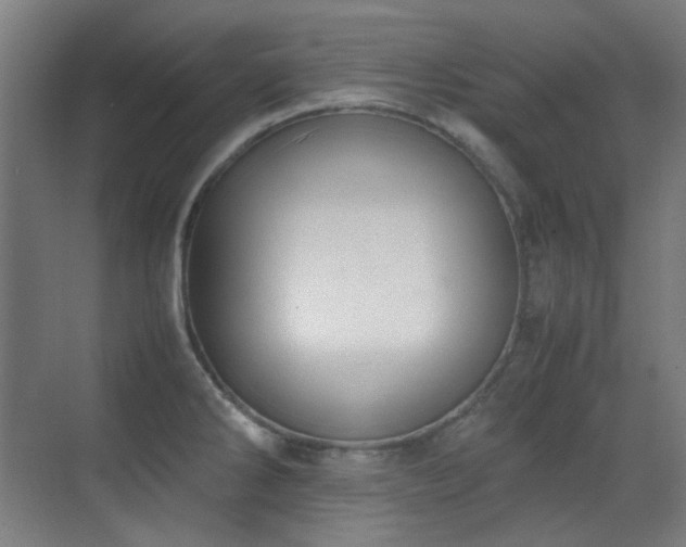 X0000070381286200606091116