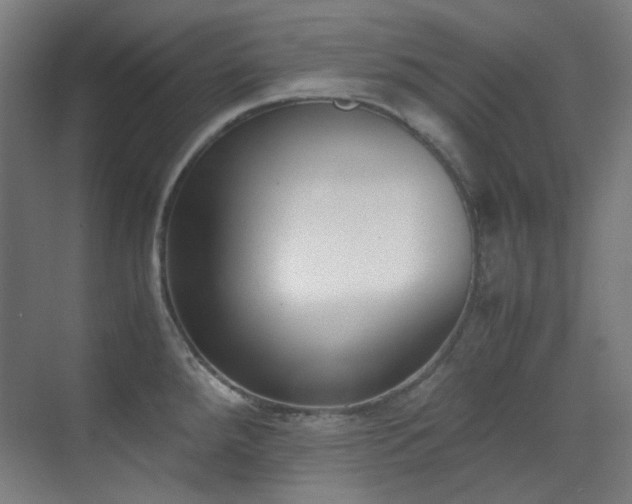 X0000070381288200606091115