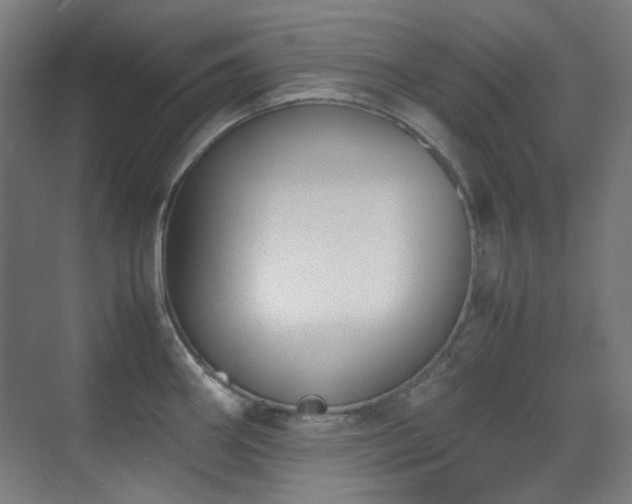 X0000070381290200606091115