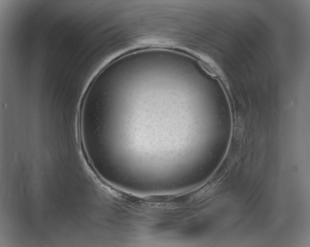 X0000070381295200606091115