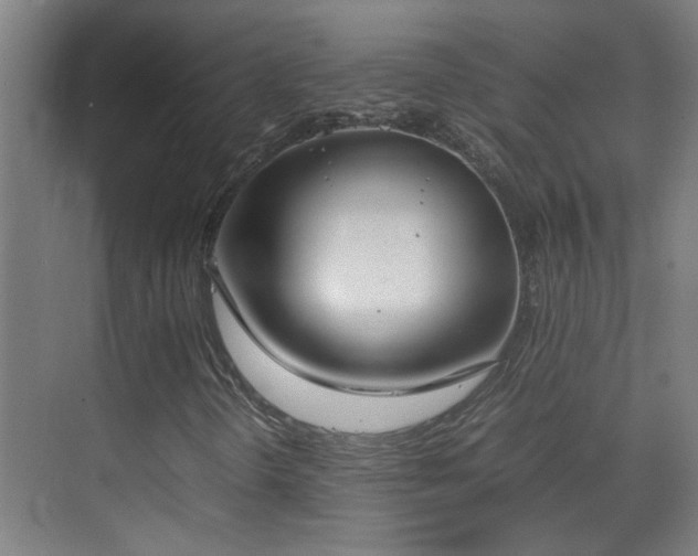 X0000070381298200606091115