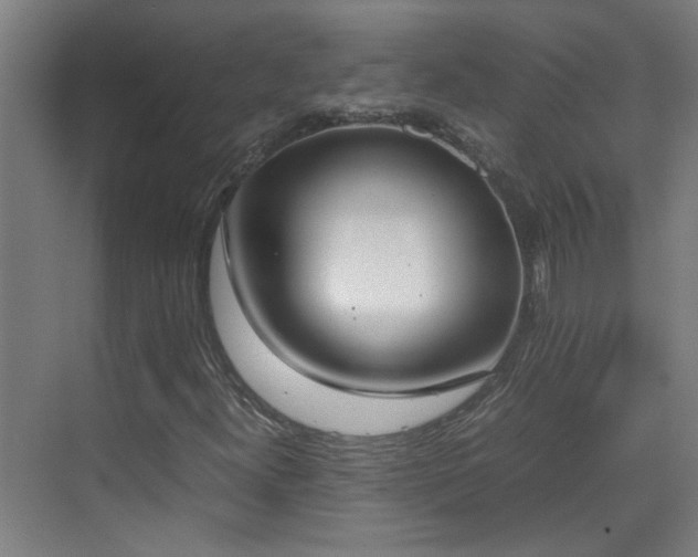 X0000070381300200606091115
