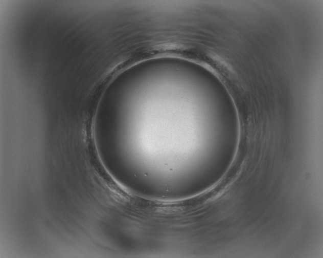 X0000070381305200606091115
