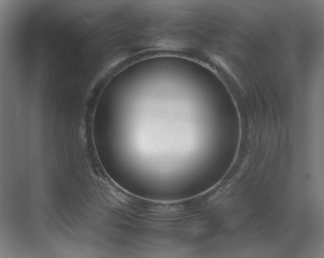 X0000070381307200606091115