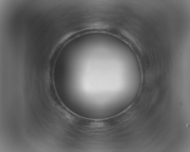 X0000070381315200606091115