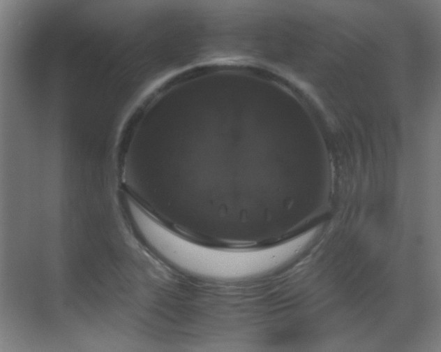 X0000070381319200606091115