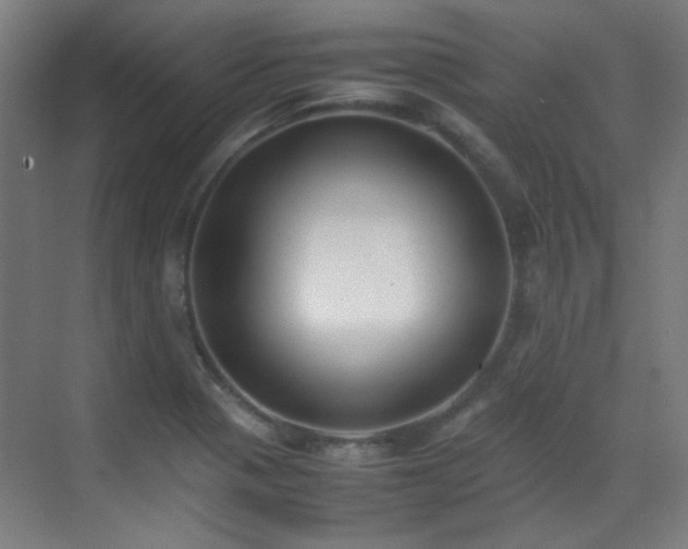 X0000070381321200606091115