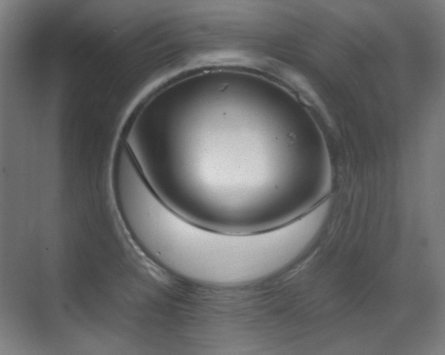 X0000070381328200606091115
