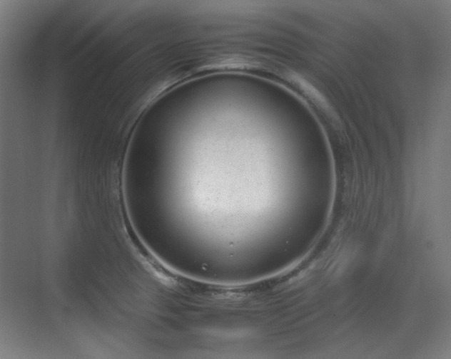 X0000070381329200606091115