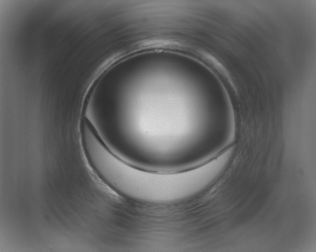 X0000070381330200606091115