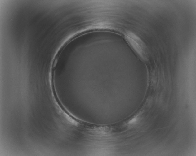 X0000070381334200606091115