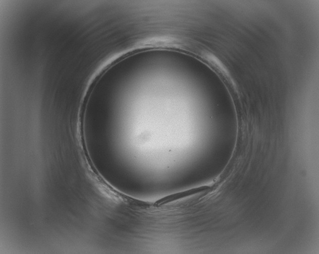 X0000070381336200606091115