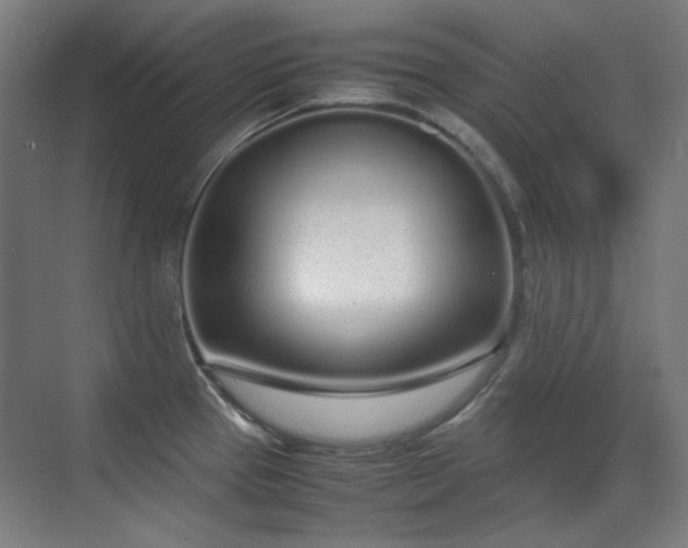 X0000070381337200606091115