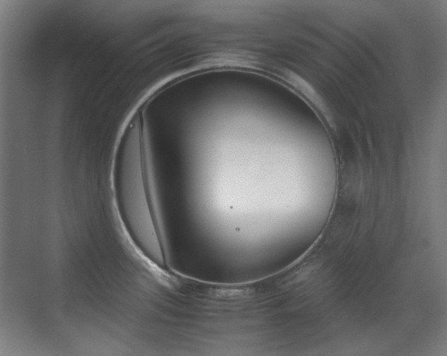 X0000070381339200606091115