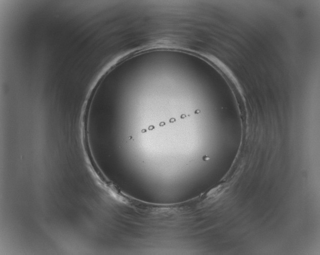 X0000070381341200606091115