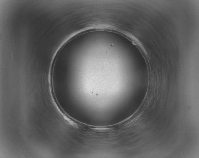 X0000070381343200606091115