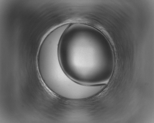 X0000070381344200606091115