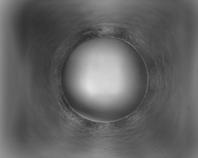 X0000070381345200606091115