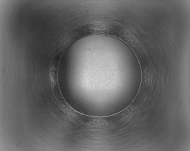 X0000070381346200606091115