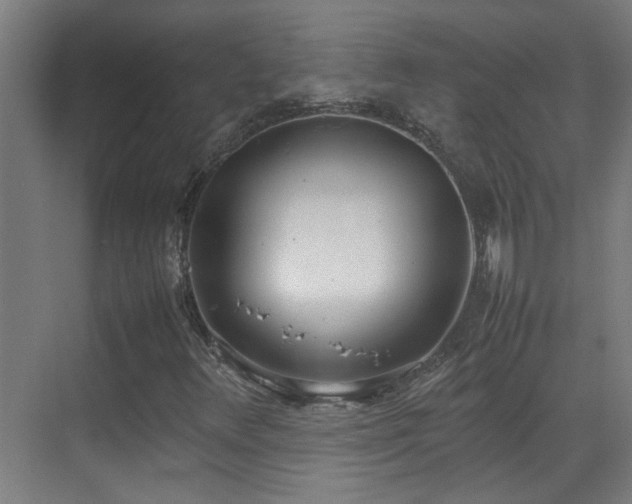 X0000070381348200606091114