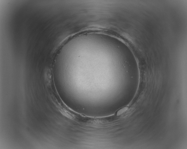 X0000070381355200606091114