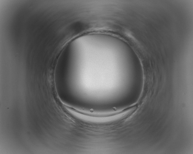 X0000070381361200606091114