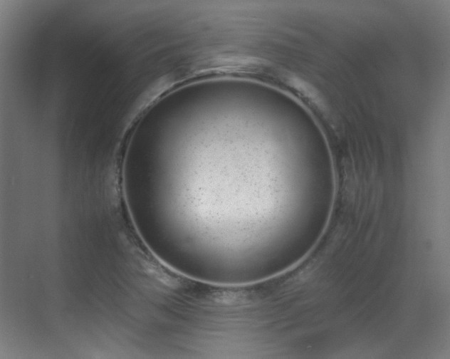 X0000070381362200606091114