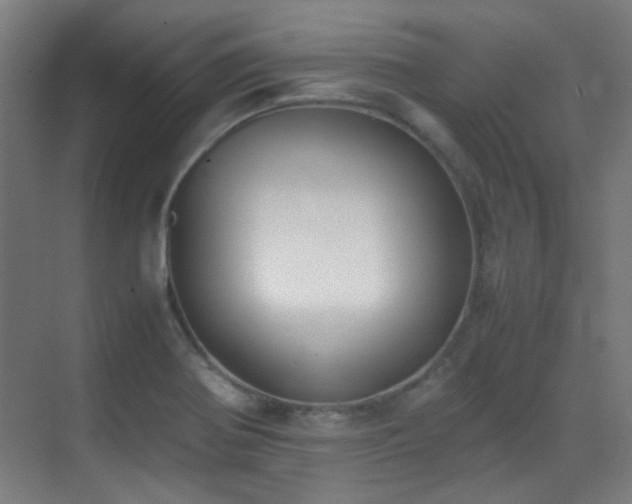 X0000070381370200606091114