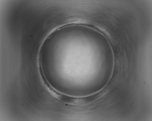 X0000070381375200606091114