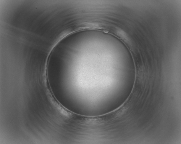 X0000070381378200606091114