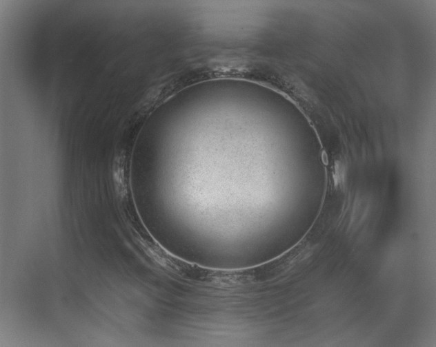X0000070381396200606091113