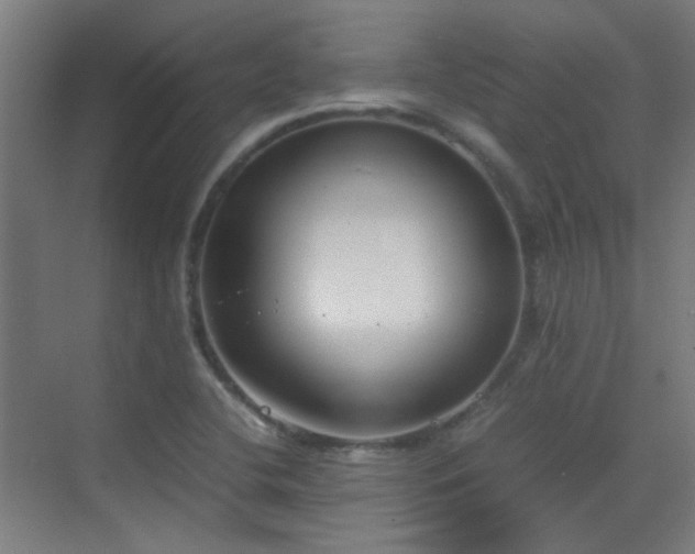 X0000070381412200606091113
