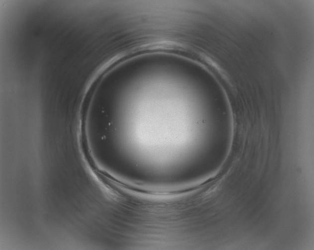 X0000070381418200606091113