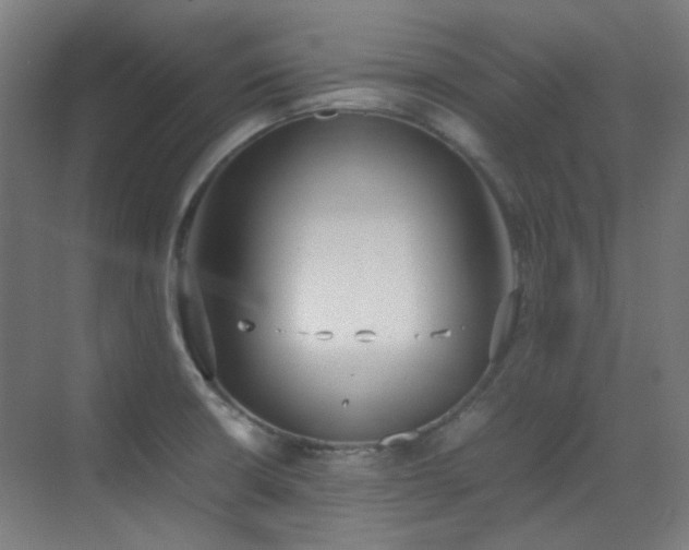 X0000070381426200606091113
