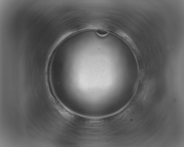 X0000070381427200606091113