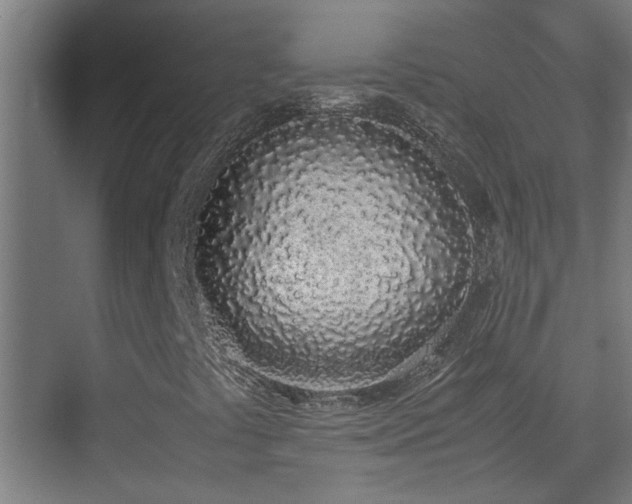 X0000070381441200606091113