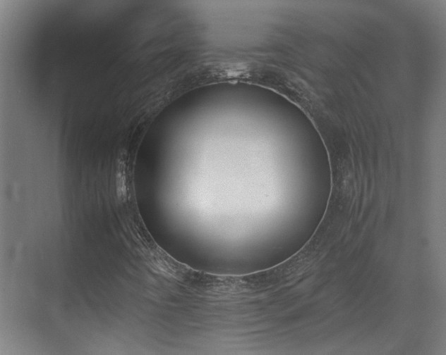 X0000070381442200606091113
