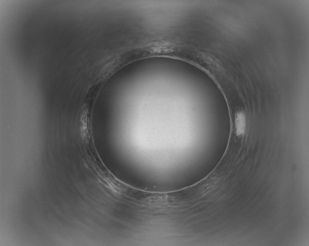 X0000070381444200606091113