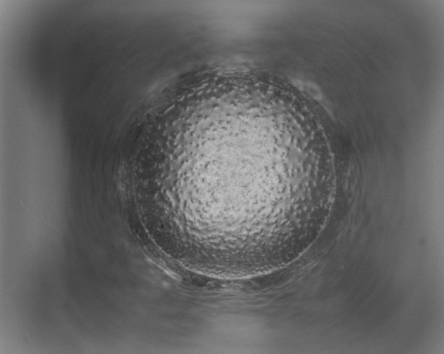 X0000070381445200606091113