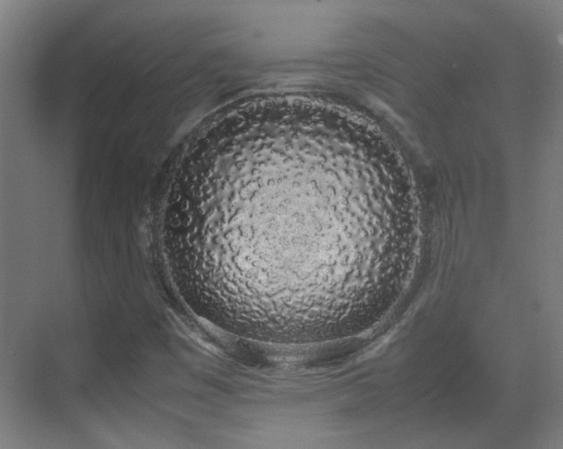 X0000070381449200606091113