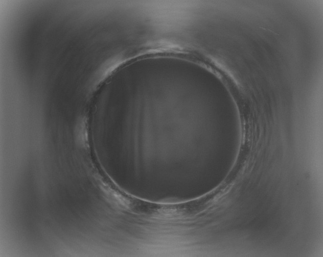X0000070381455200606091113