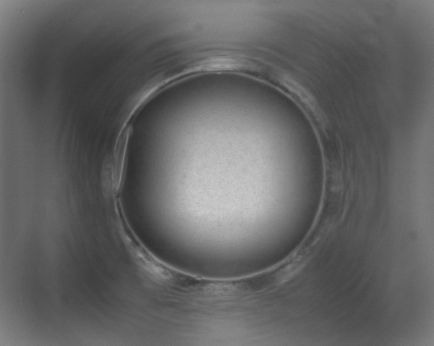 X0000070381473200606091112