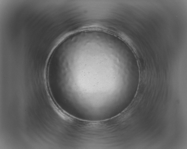 X0000070381482200606091112