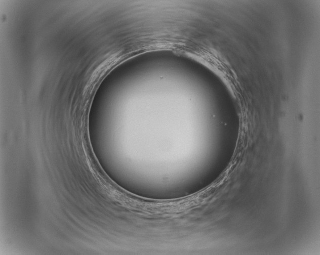 X0000070380001200606121304