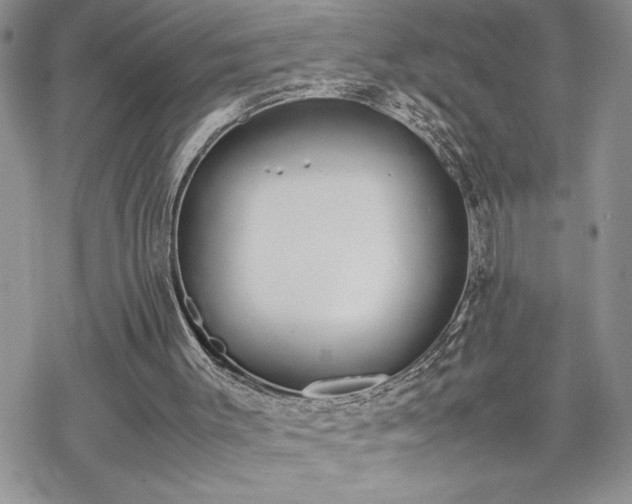 X0000070380003200606121304