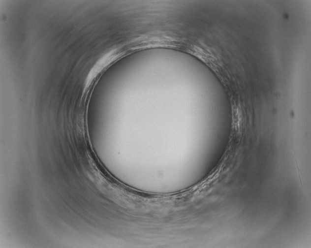 X0000070380004200606121304