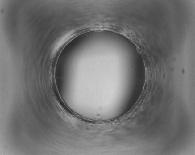 X0000070380005200606121304