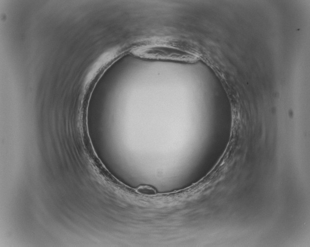 X0000070380006200606121304