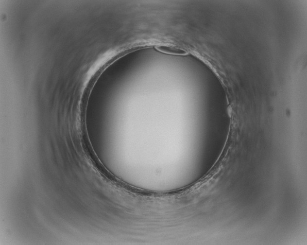 X0000070380008200606121304